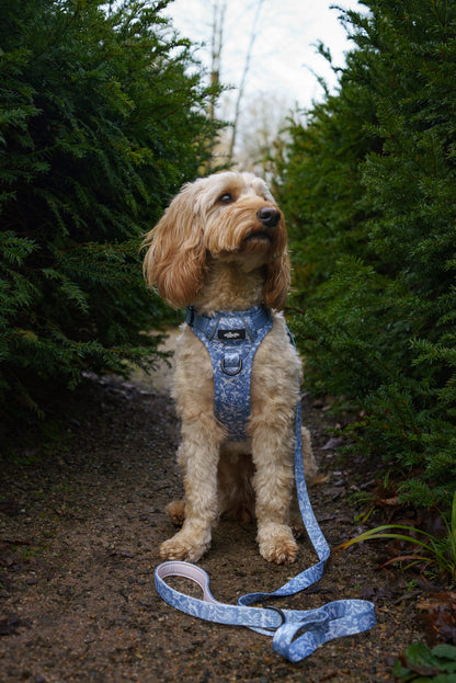Laura Ashley Dog Harness - Shepherd's Purse