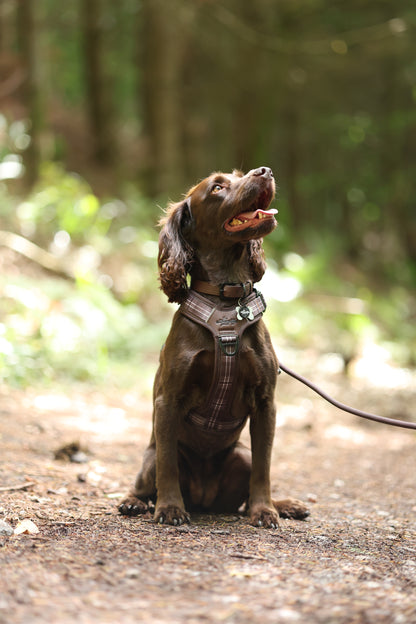 Heritage Faux Leather Rope Dog Lead - Brown