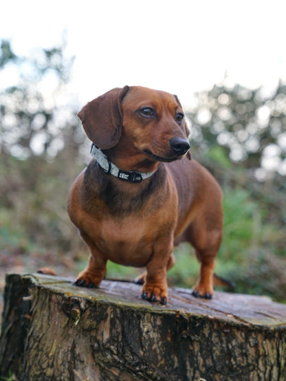 Dog Collar - Silent Snowdrops