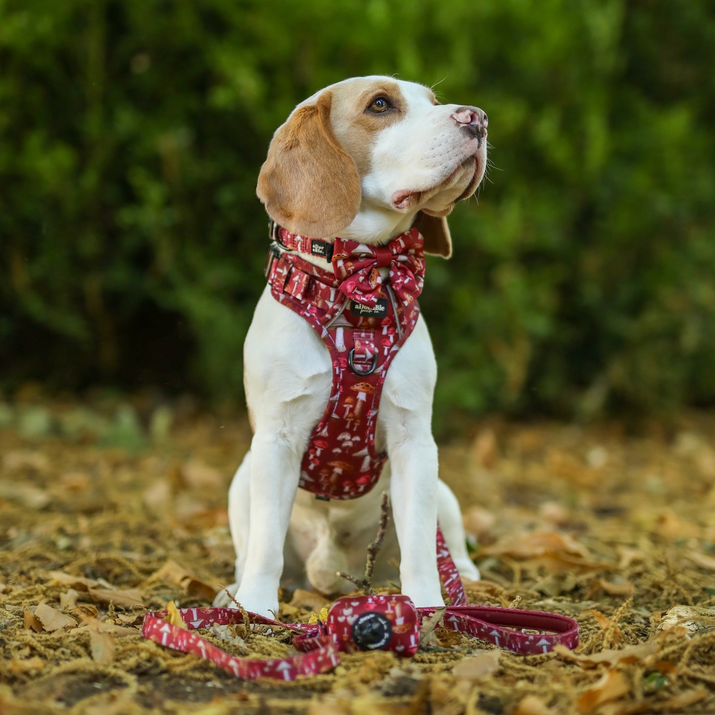 Hike & Go Lite™ Harness - Mulberry Mushrooms