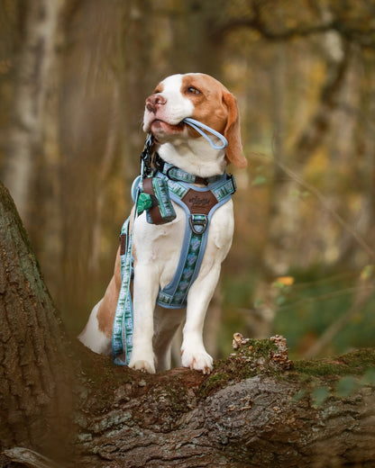 Poop Bag Holder - Daydream Heights