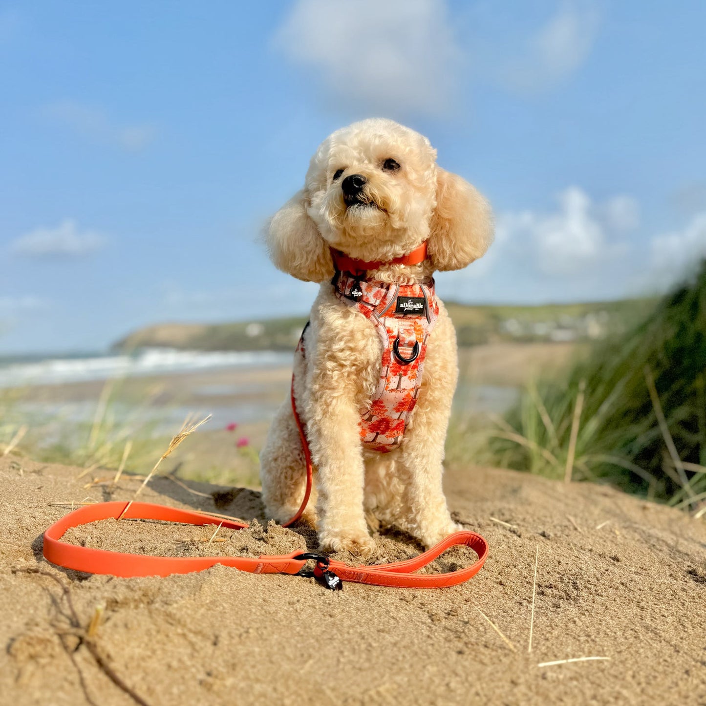 HydroFlex™ Two-tone Waterproof Dog Lead - Burnt Orange