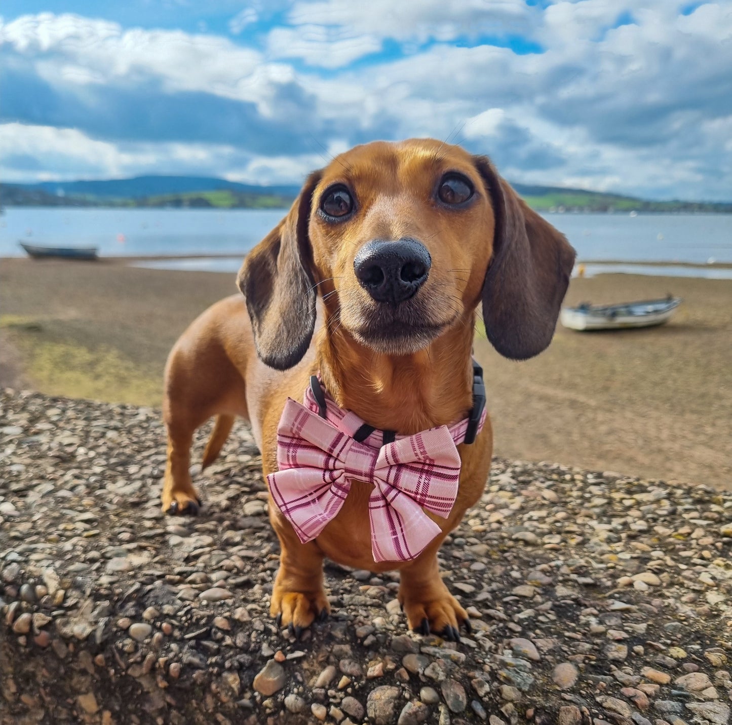 Sailor Bow Tie - LUXE Rose Quartz Plaid