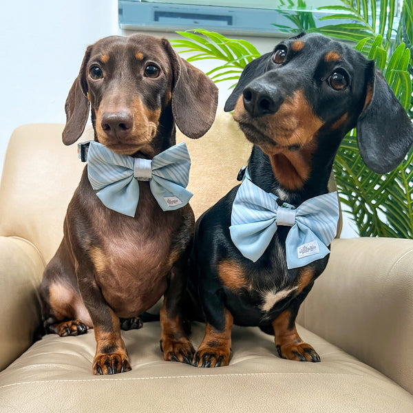 Sailor Bow Tie - The aDoraBle Pooch Co Signature Bow