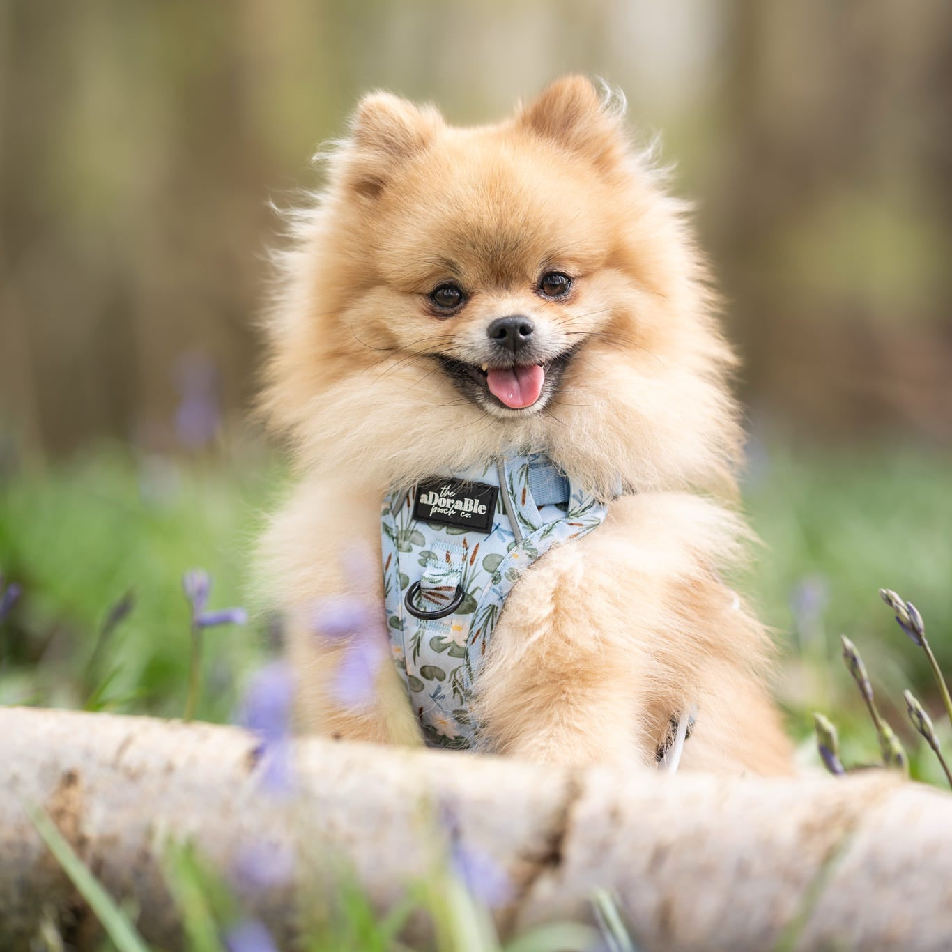 Hike & Go Lite™ Harness - Willow Waters