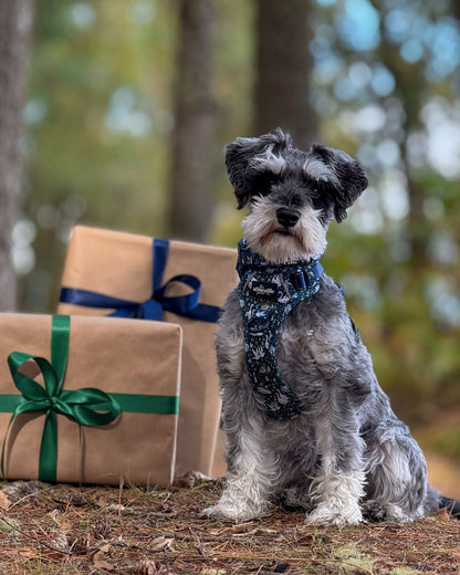 Hike & Go Lite™ Harness - Twelve Days