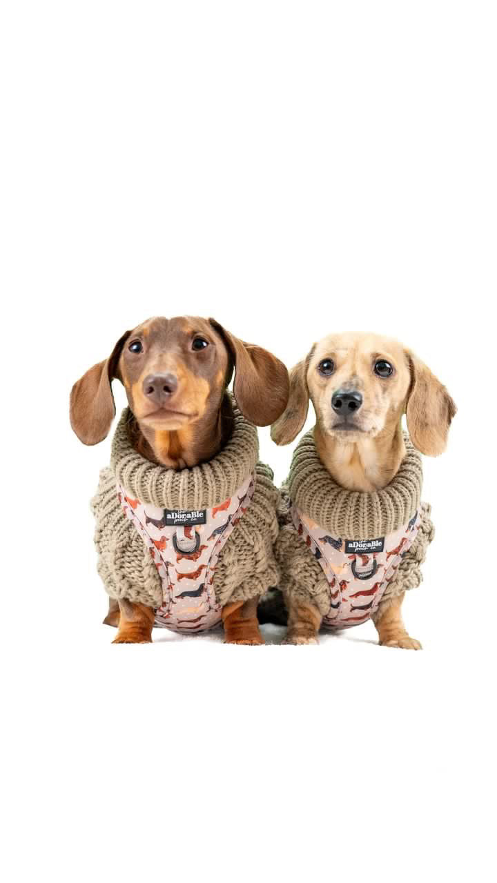 Hand Knitted Dachshund Jumper - Mocha