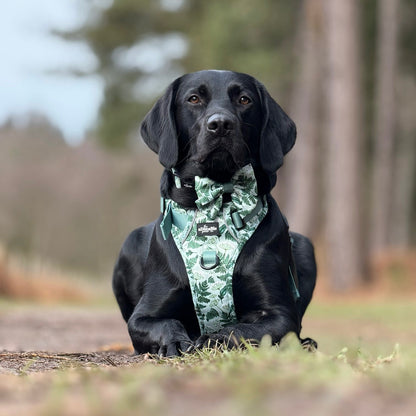 Hike & Go Lite™ Harness - Forest Of Ferns