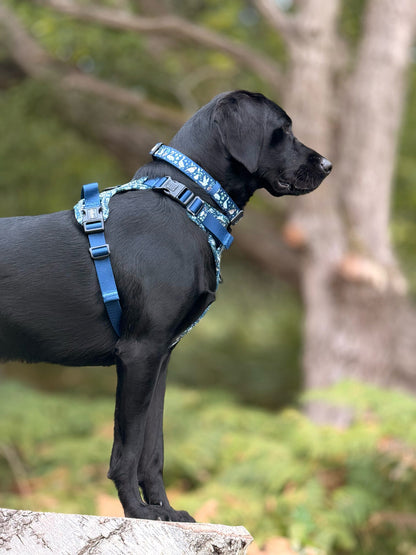 Collar - Twelve Days