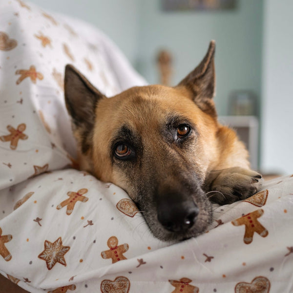 Supersize Soft Blanket - Gingerbread Bakery