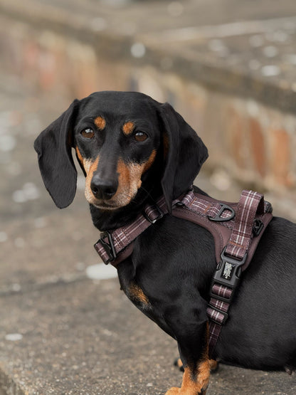 Streamline Pro™ Dog Harness - Heritage Collection - Truffle Brown