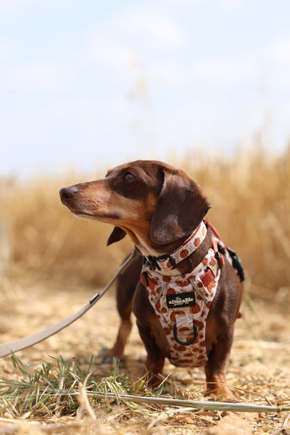 Collar - Pumpkin Farm