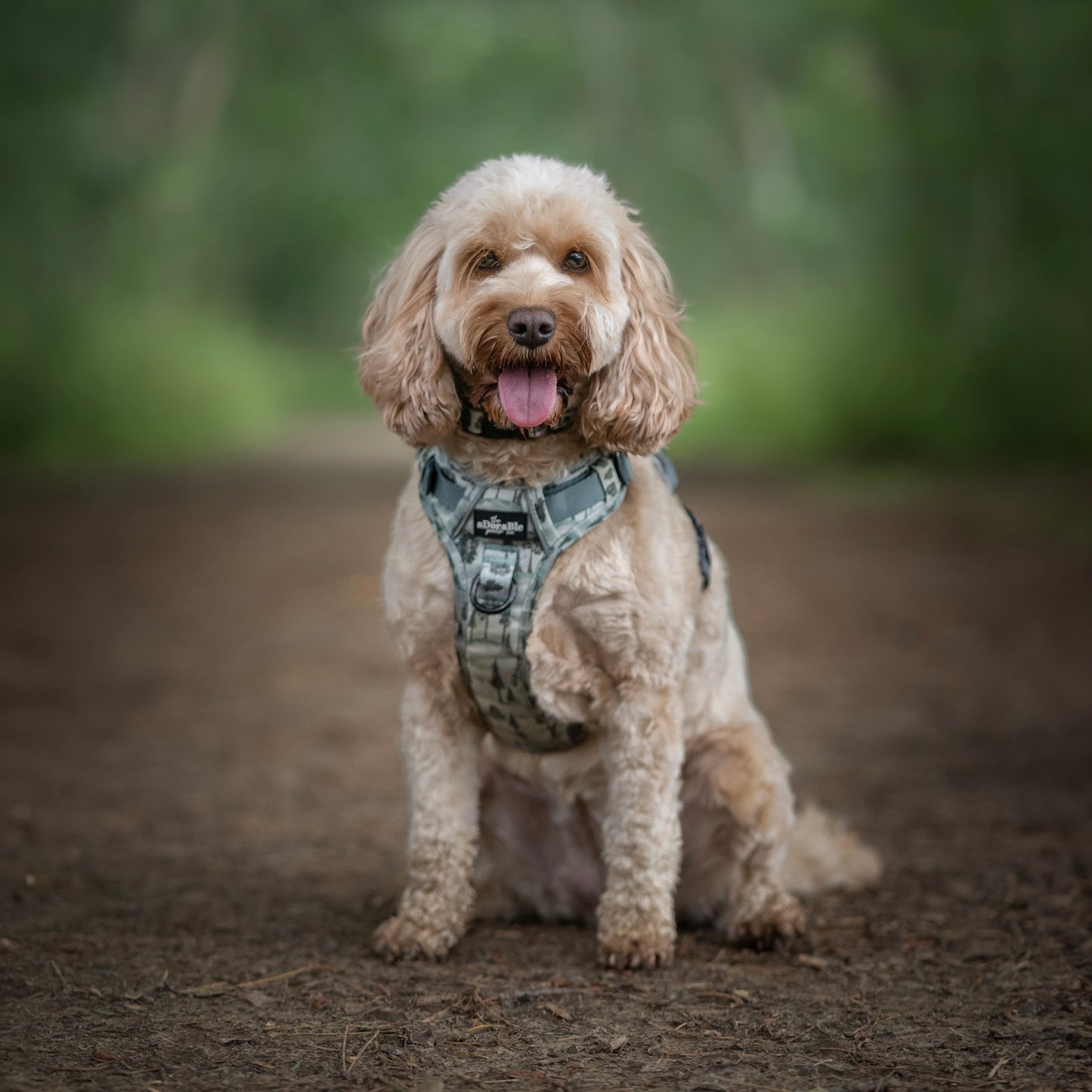 Hike & Go™ Harness - Countryside Hills