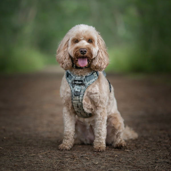 Hike & Go™ Harness - Countryside Hills