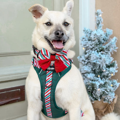 Sailor Bow Tie - Candy Cane Forest