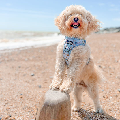 Hike & Go Lite™ Harness - Coastal Beach Grass