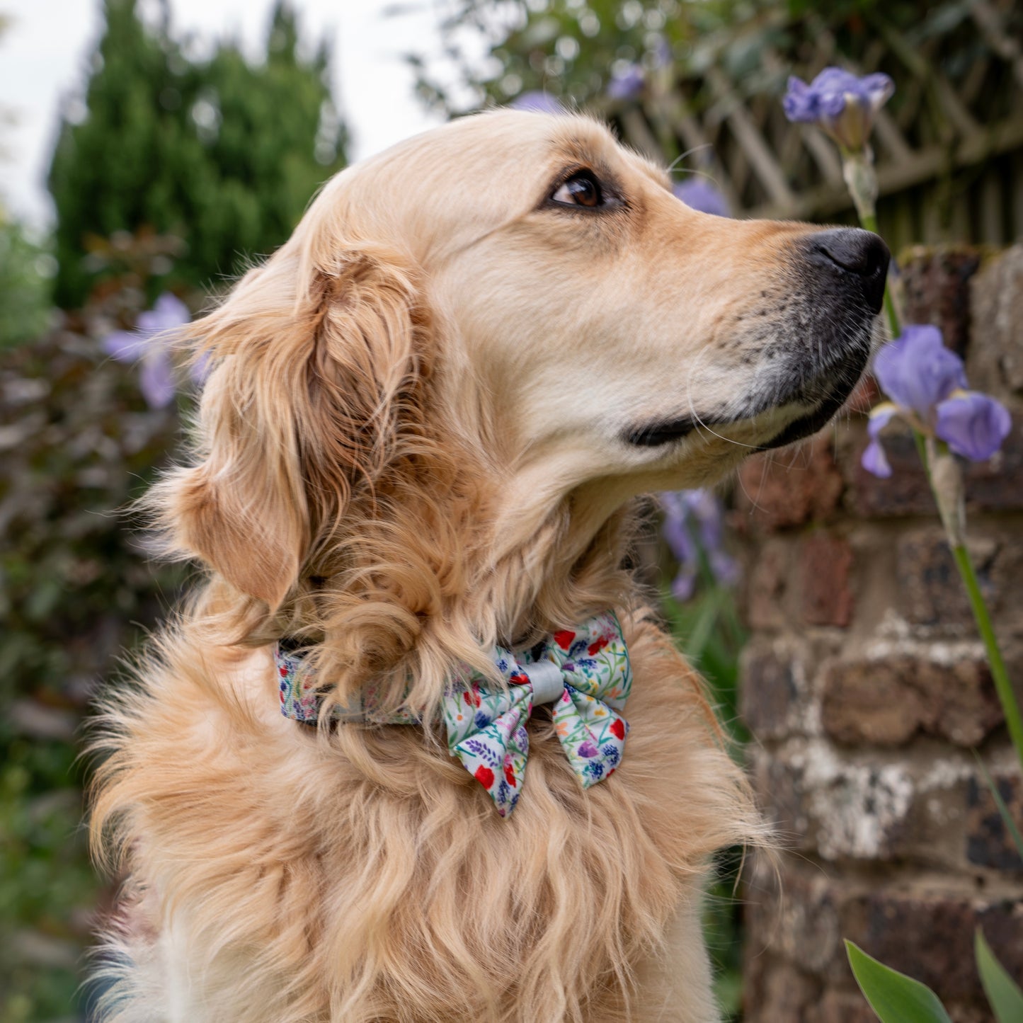 Sailor Bow Tie - Wildflower Meadow