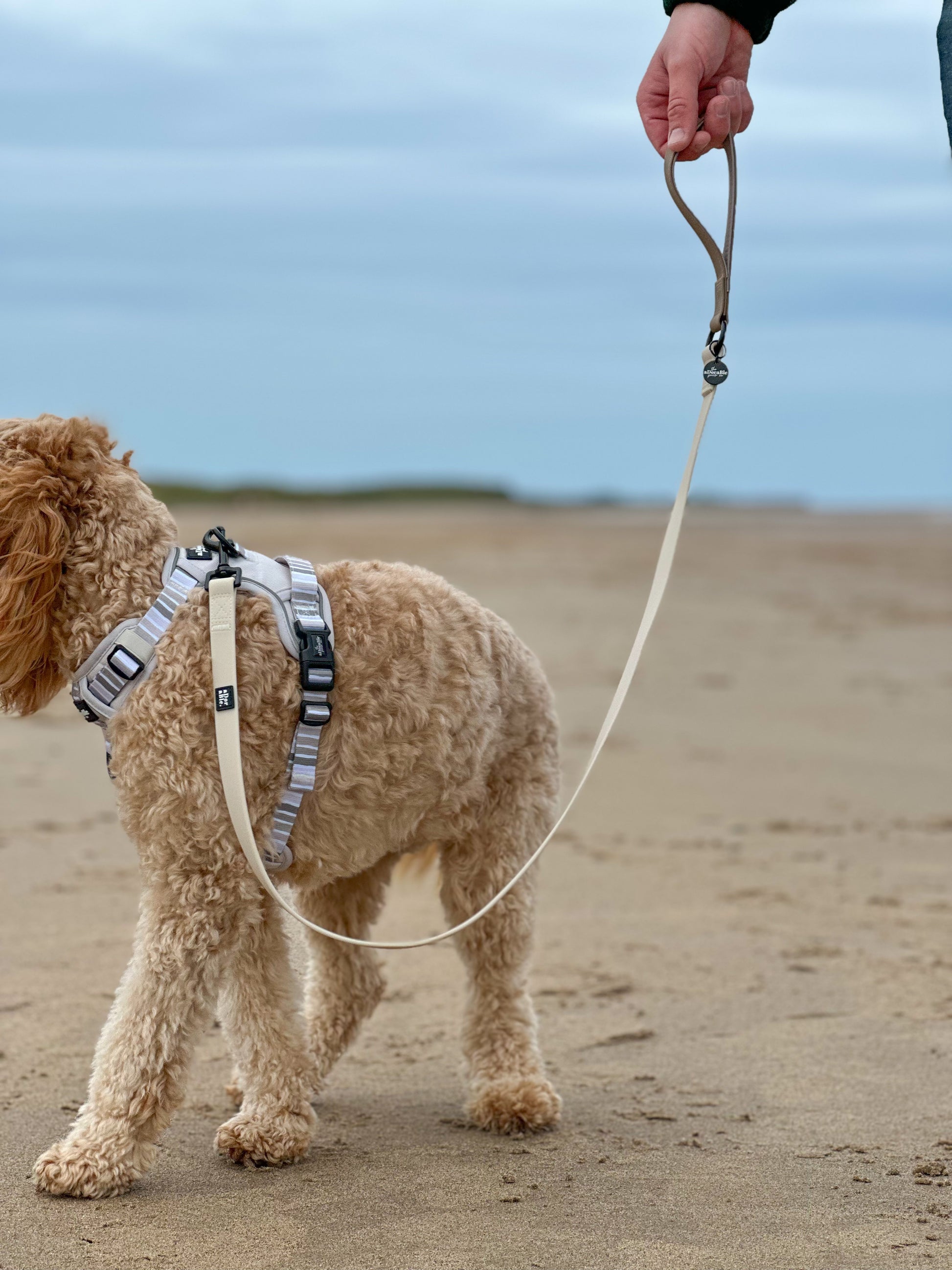 HydroFlex™ Two-tone Waterproof Dog Lead Coconut Cream – The