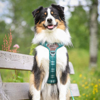 Streamline Pro™ Dog Harness - Heritage Collection - Pheasant Green