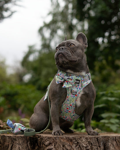 Hike & Go Lite™ Harness - Wildflower Meadow