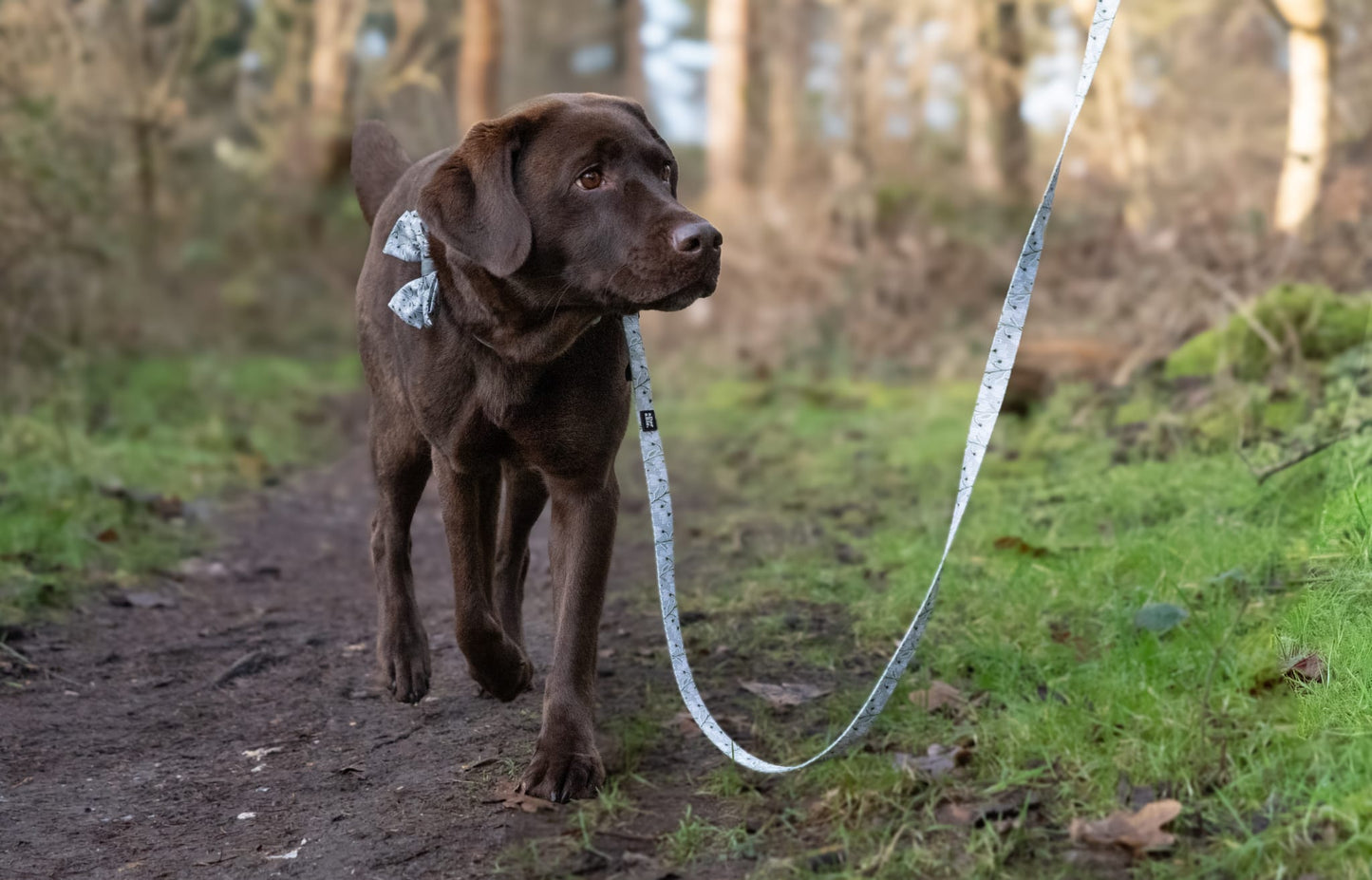 Dog Lead - Silent Snowdrops