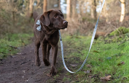 Dog Lead - Silent Snowdrops