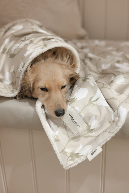 Laura Ashley Dog & Puppy Bed Blanket - Magnolia Grove