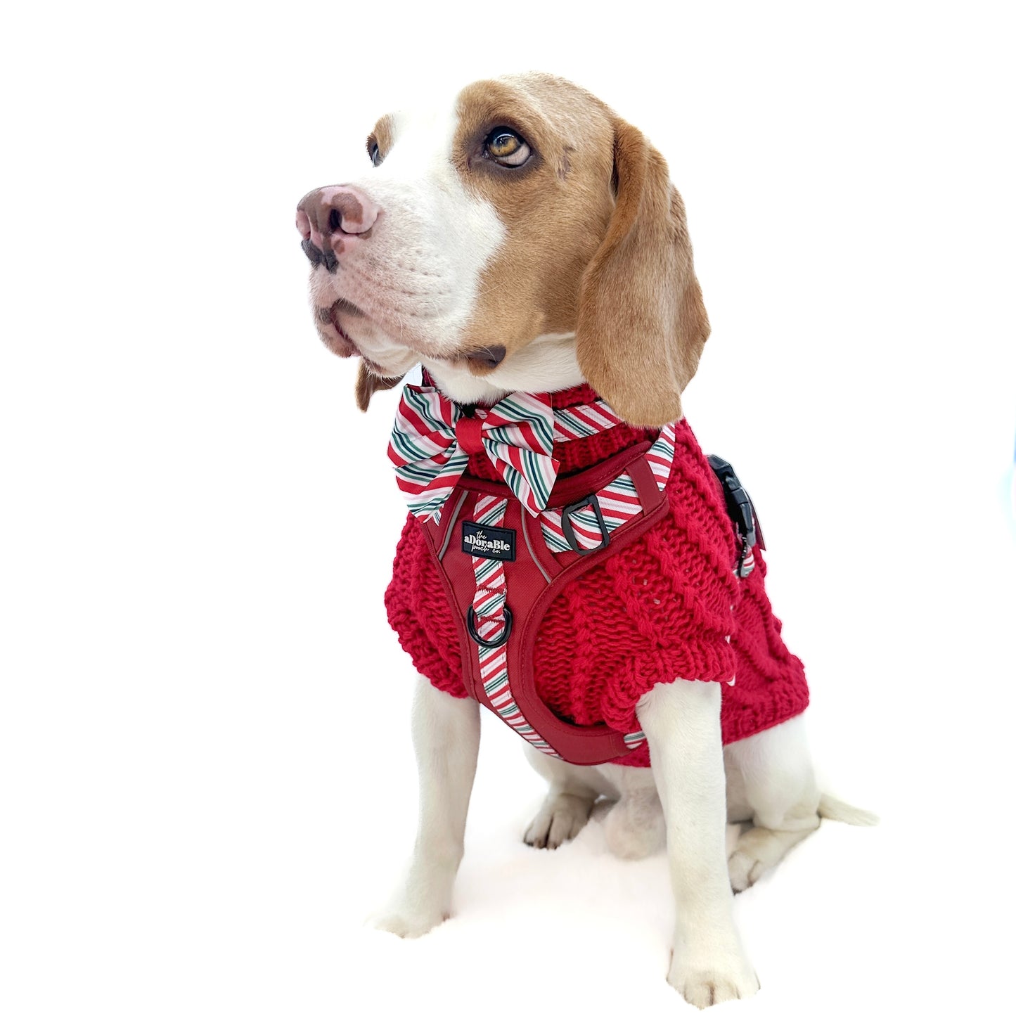 Hand Knitted Dachshund Jumper - Berry Red