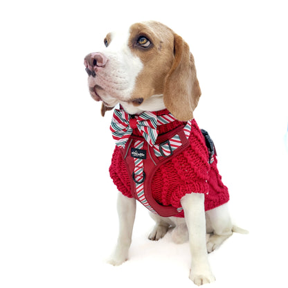 Hand Knitted Dachshund Jumper - Berry Red