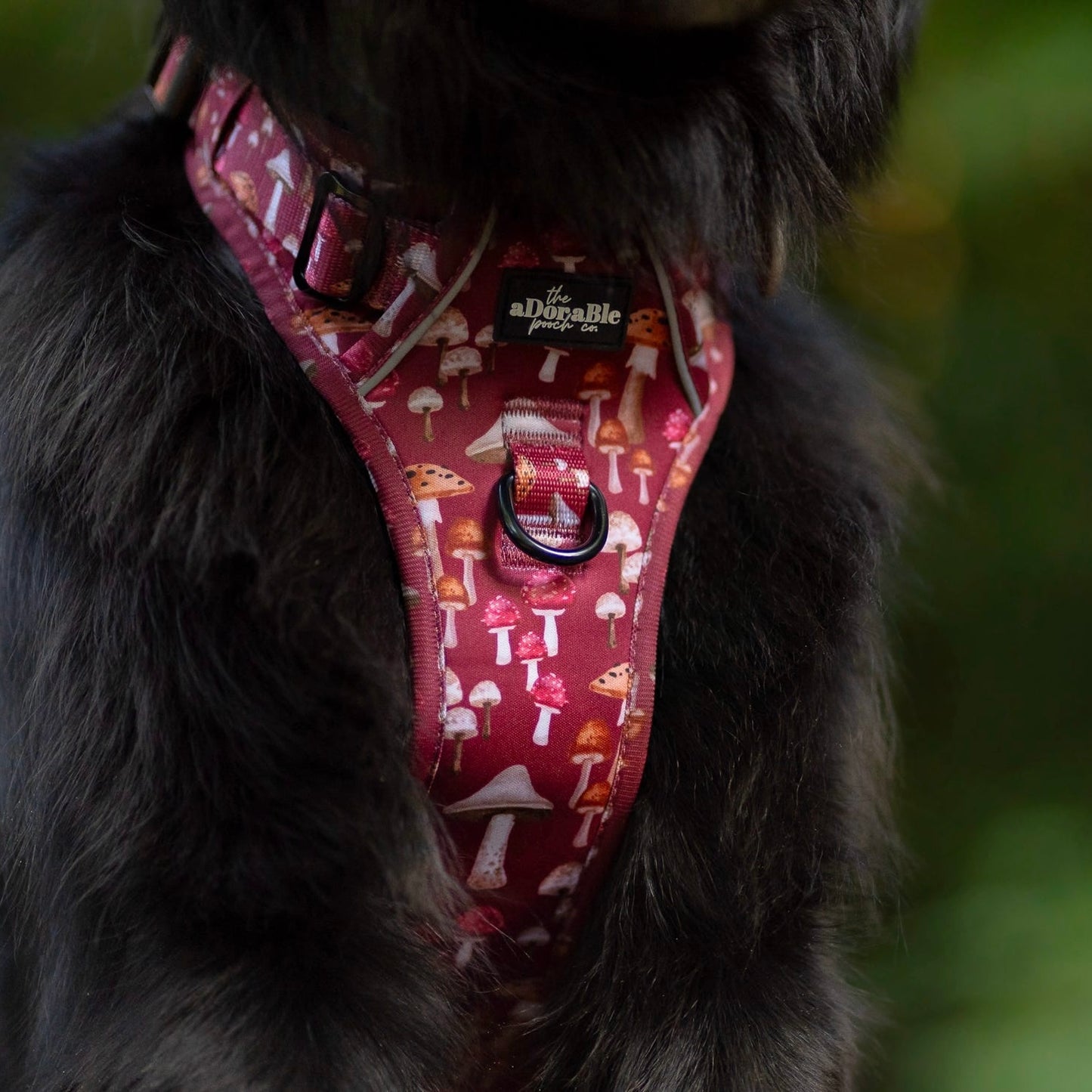 Hike & Go Lite™ Harness - Mulberry Mushrooms