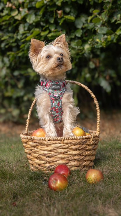Hike & Go™ Harness - Crab Apple Cottage