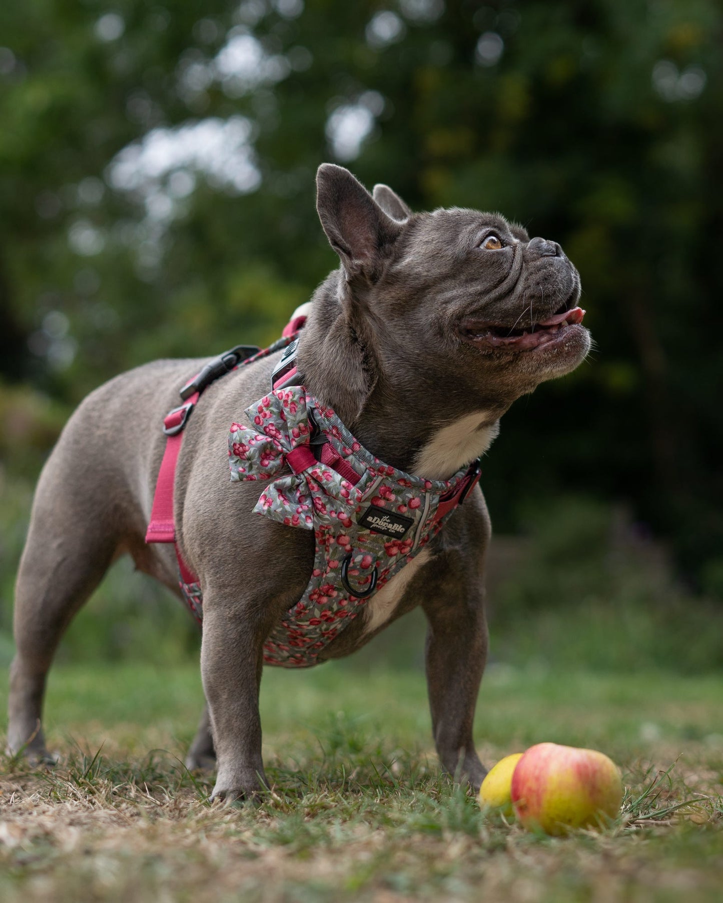 Sailor Bow Tie - Crab Apple Cottage