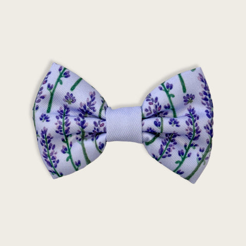 Bow Tie - Lavender Haze