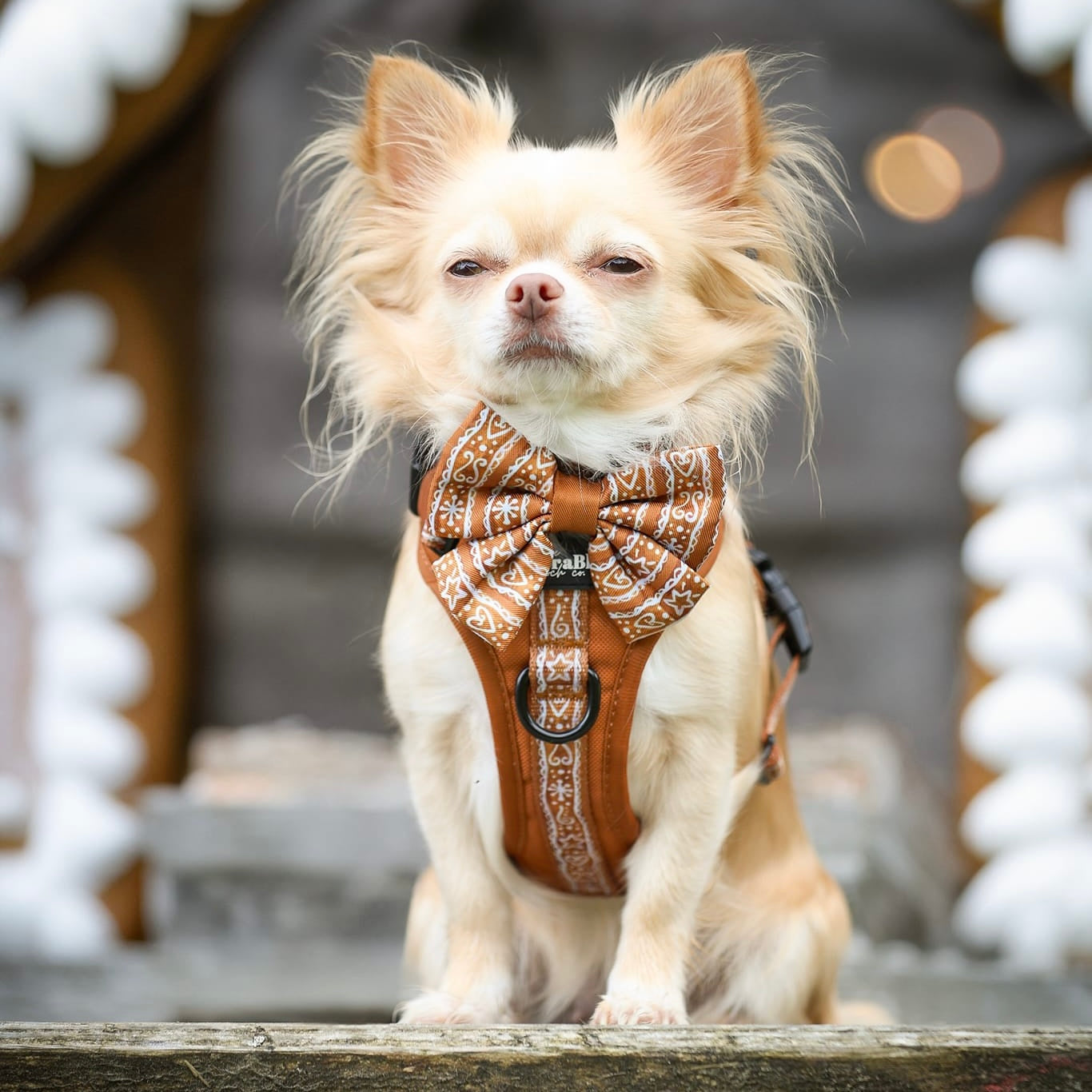 Hike & Go™ Harness - Gingerbread Frosting