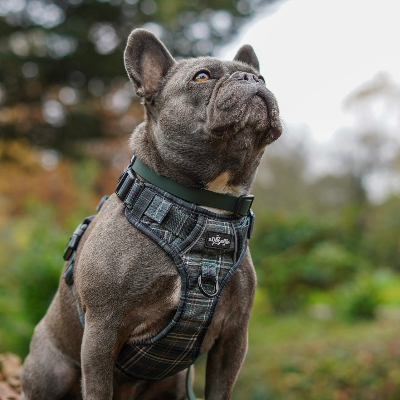 Hike & Go™ Harness - LUXE Hunter Green Plaid