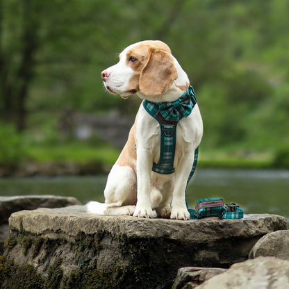 Streamline Pro™ Dog Harness - Heritage Collection - Pheasant Green