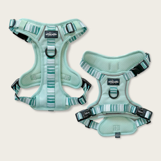 Hike & Go™ Harness - Hint Of Mint