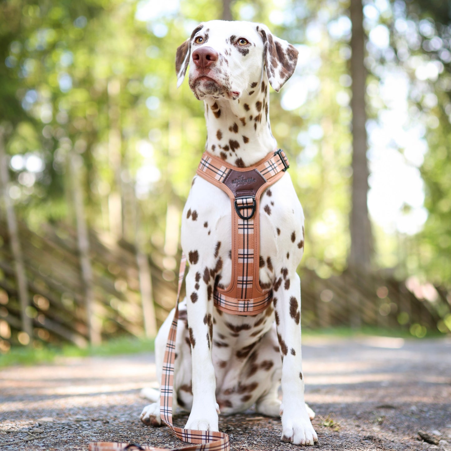 Streamline Pro™ Dog Harness - Heritage Collection - Butterscotch Biscuit