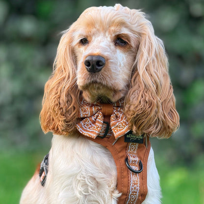 Hike & Go™ Harness - Gingerbread Frosting