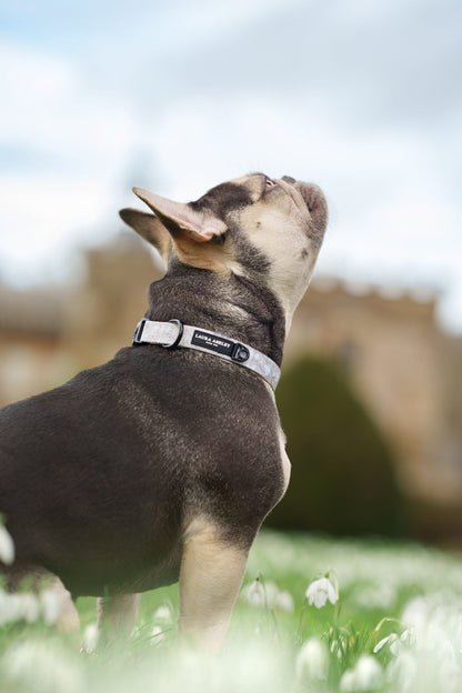 Laura Ashley Dog Collar - Magnolia Grove
