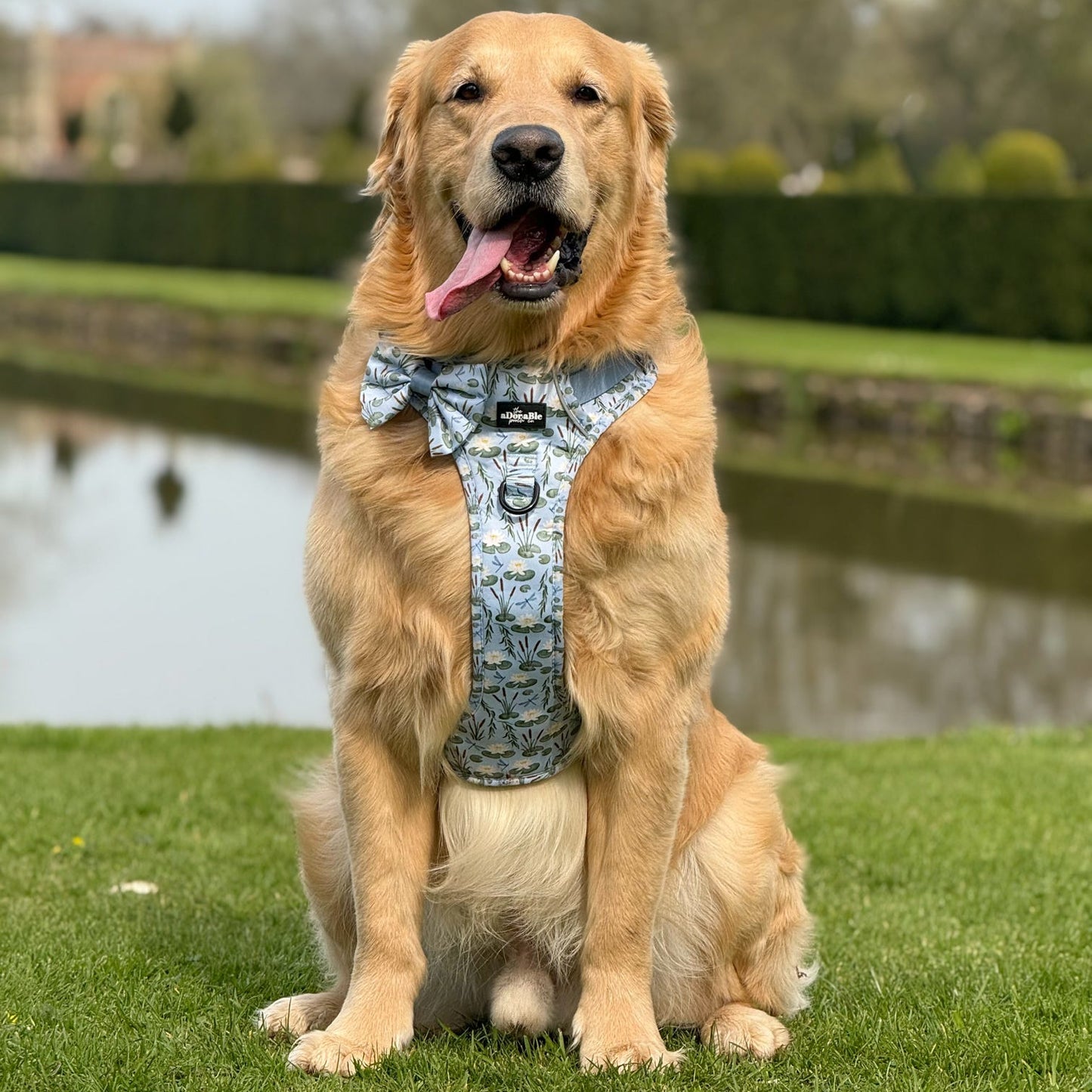 Hike & Go Lite™ Harness - Willow Waters