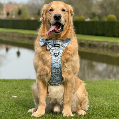 Hike & Go Lite™ Harness - Willow Waters