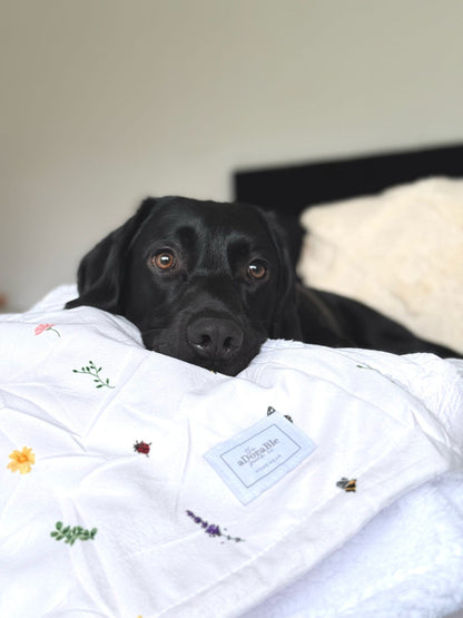 Supersize Soft Blanket - Bumbles & Butterflies