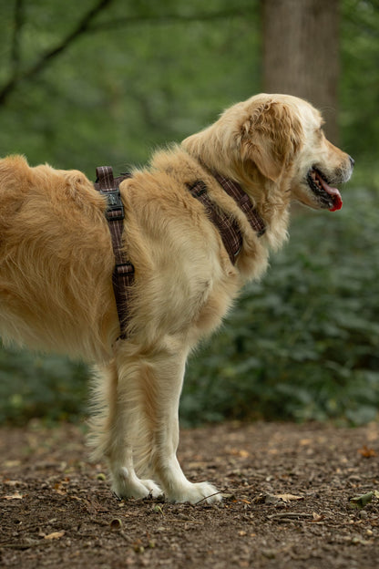 Streamline Pro™ Dog Harness - Heritage Collection - Truffle Brown