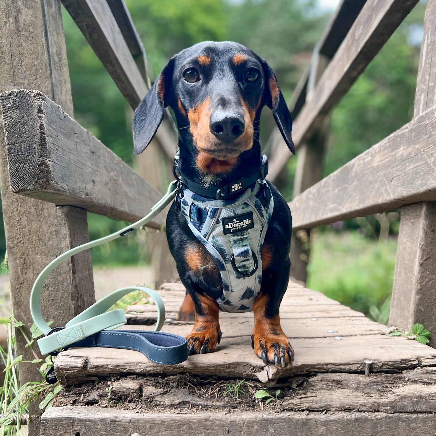 HydroFlex™ Two-tone Waterproof Dog Lead - Navy & Muted Mint