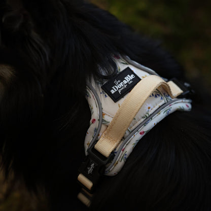 Hike & Go Lite™ Harness - Spring Garden