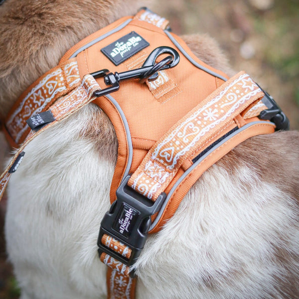 Hike & Go™ Harness - Gingerbread Frosting