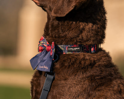Laura Ashley Dog Collar - Gosford Meadow