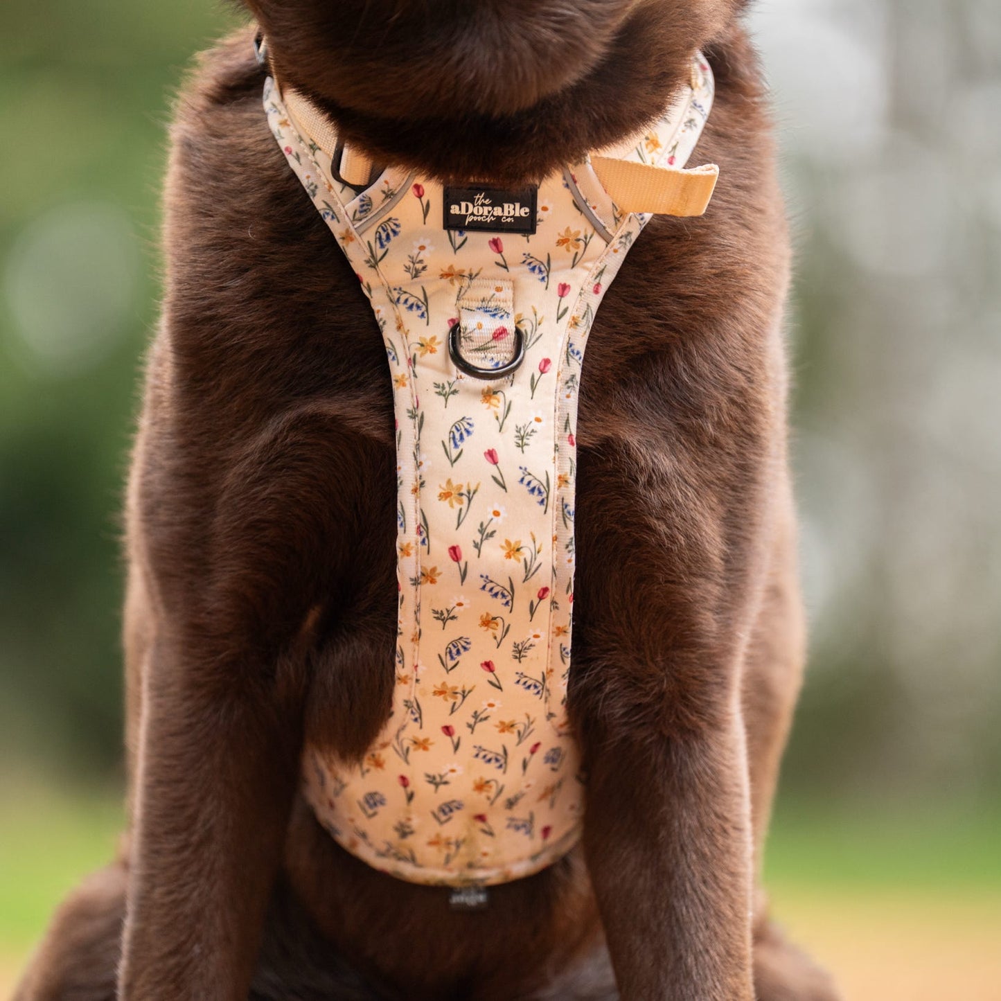 Hike & Go Lite™ Harness - Spring Garden