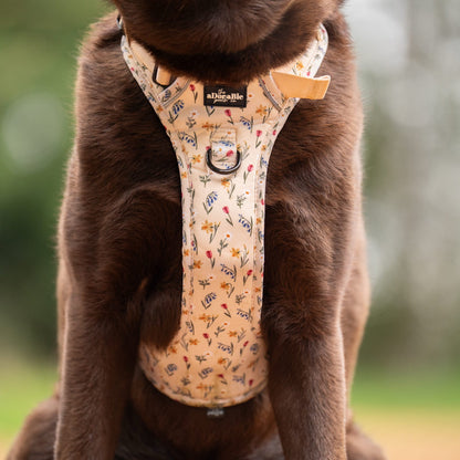 Hike & Go Lite™ Harness - Spring Garden